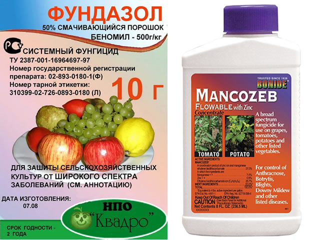 Фундазол срок ожидания после обработки. Фундазол фунгицид. (Фундазол Беномил. Фундазол для растений. Фундазол действующее вещество.